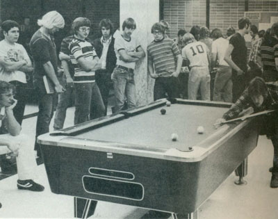 Tiger's Den Pool Table