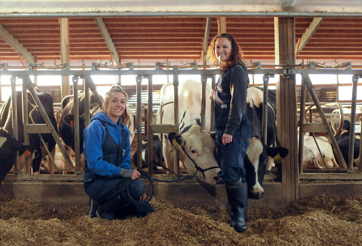 Two Girls Standing by Cows