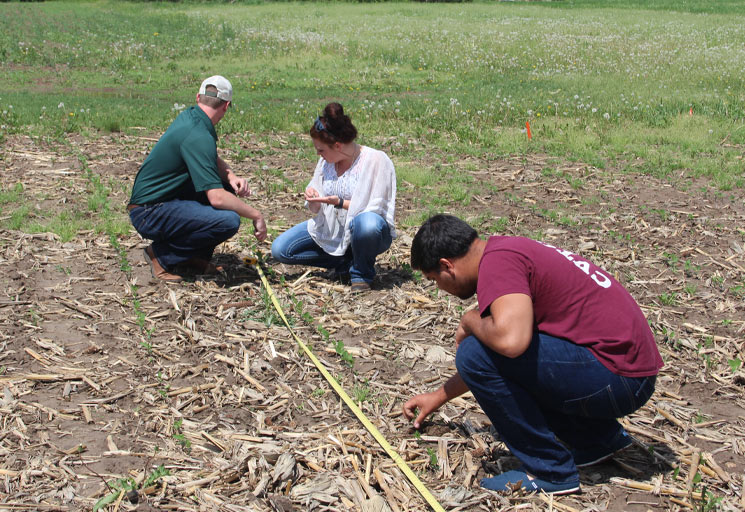 Image: CVTC agriculture instructor, program takes state award