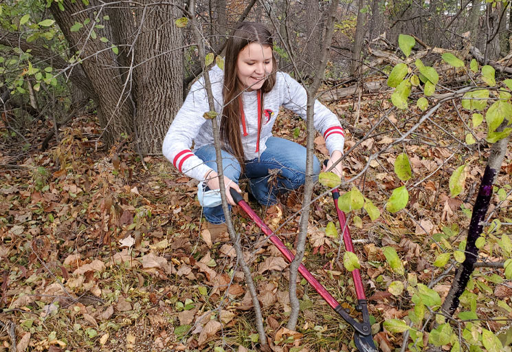 Image: Bully Buckthorn meets its match