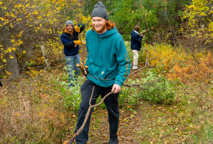 Image: Stopping an invasive plant species in its tracks